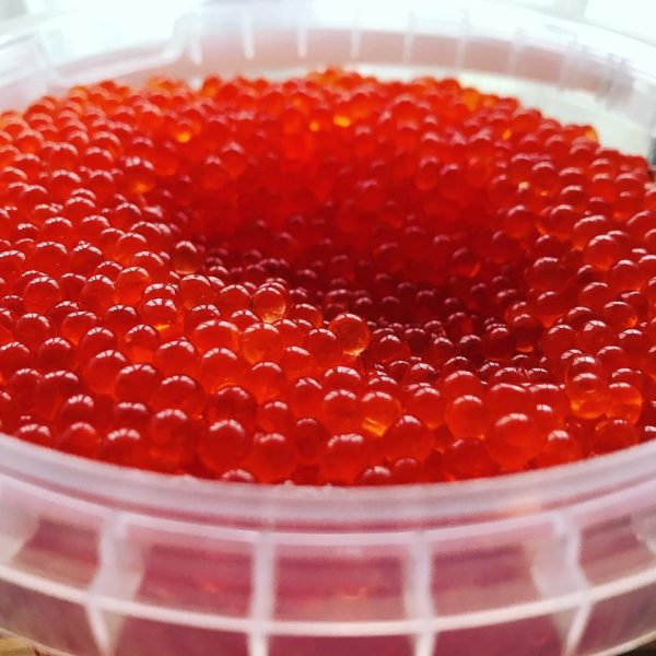 Somijas foreļu ikri mazsālīti 3,6%, svaigi, 1 kg