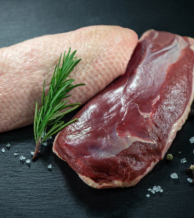 Duck-breats1
