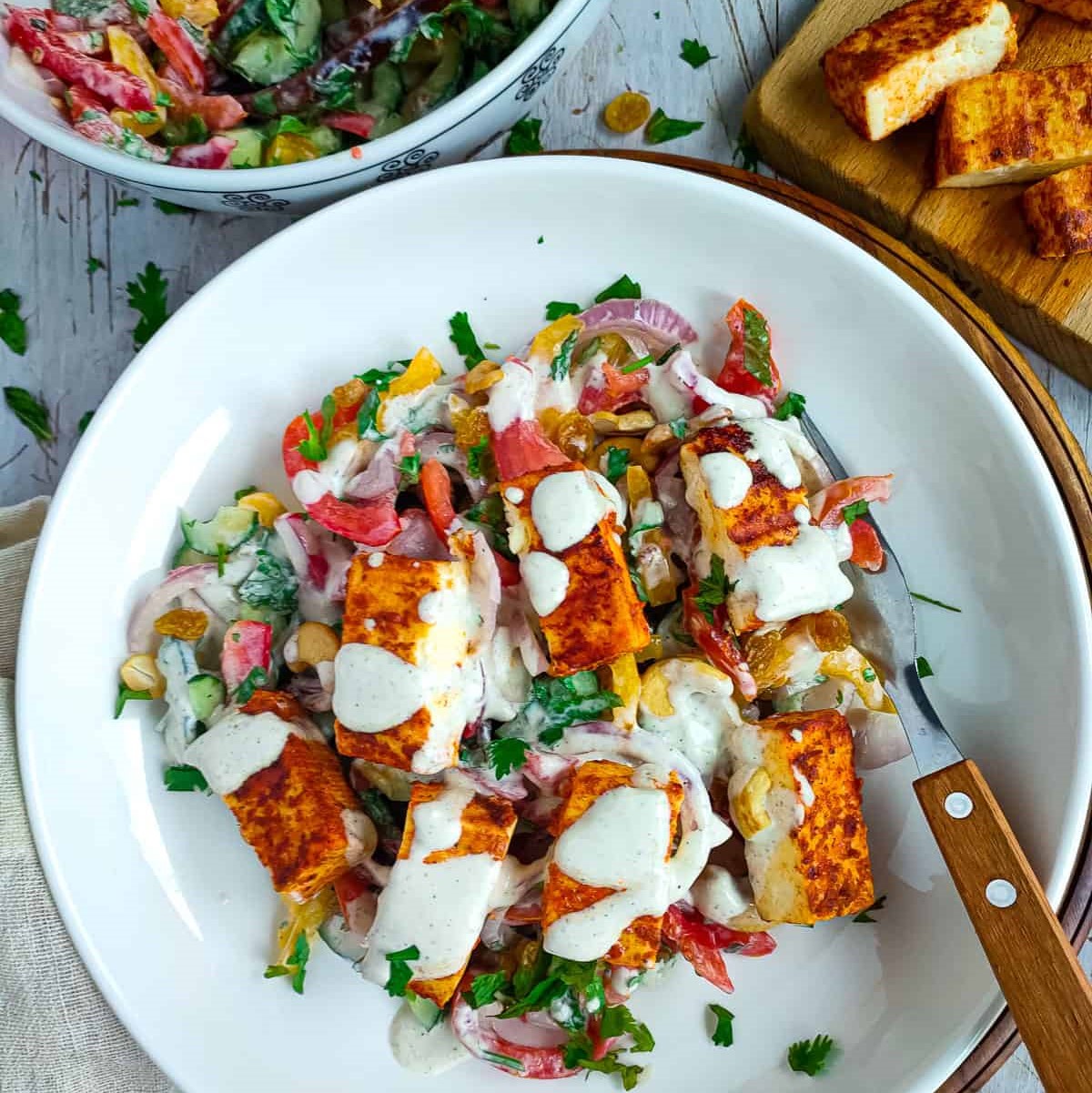 veggie garlic Paneer-tikka-salad-28