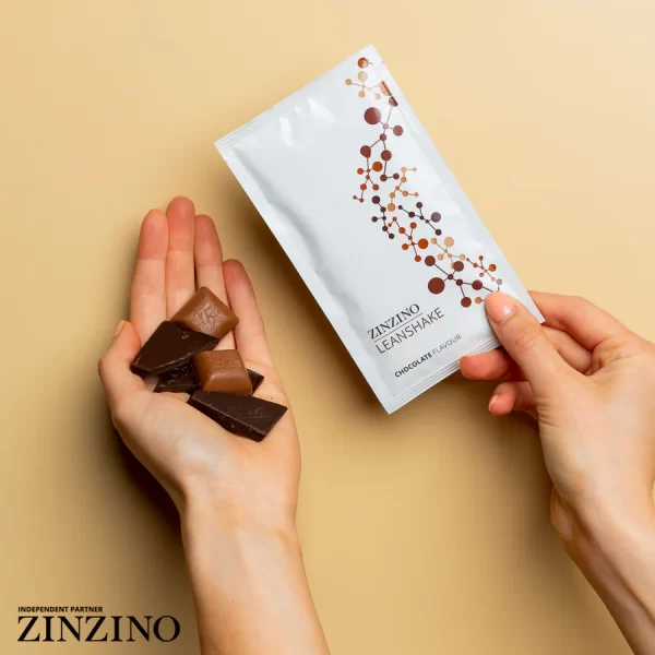 ZinZino LeanShake maltītes aizstājējs, šokolādes garša, 16 porcijas x 30gr