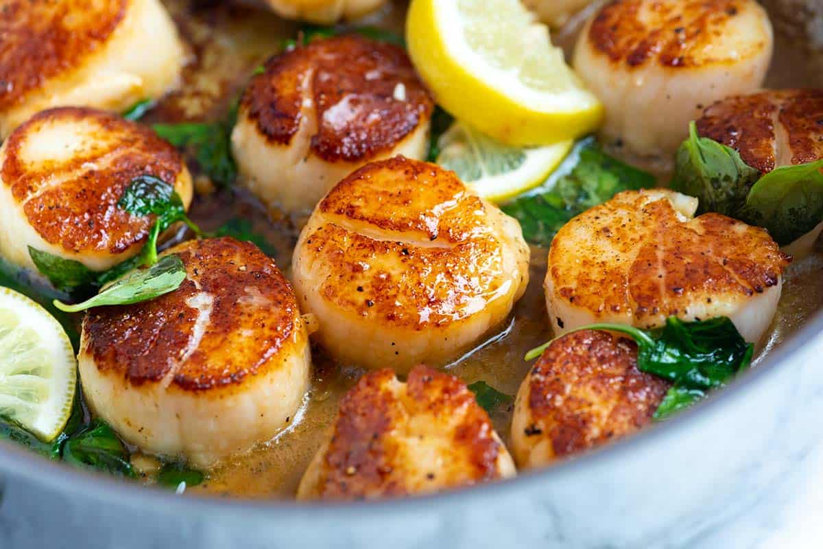 Pan-Seared-Scallops-Recipe-1200