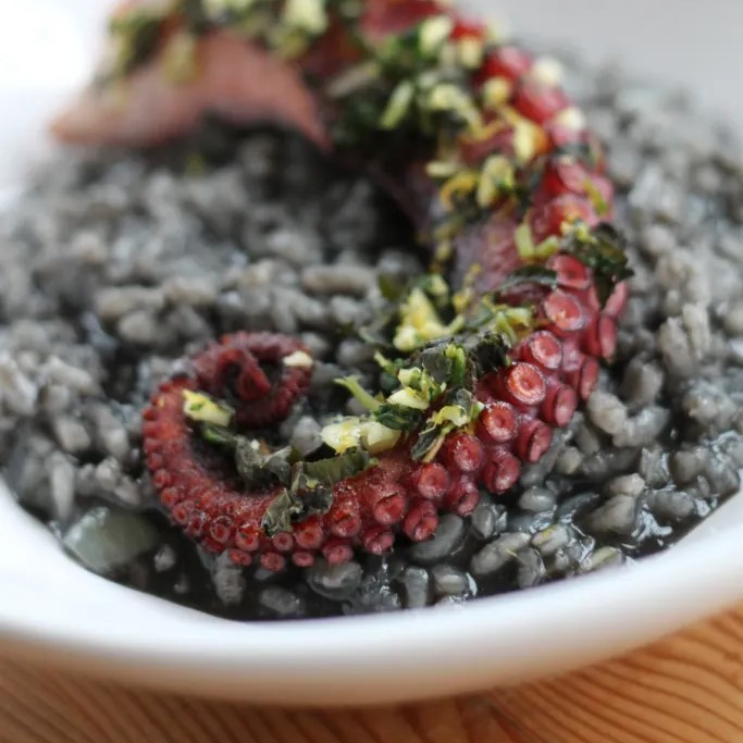 Acquerello Jess-Squid-Ink-Octopus-4