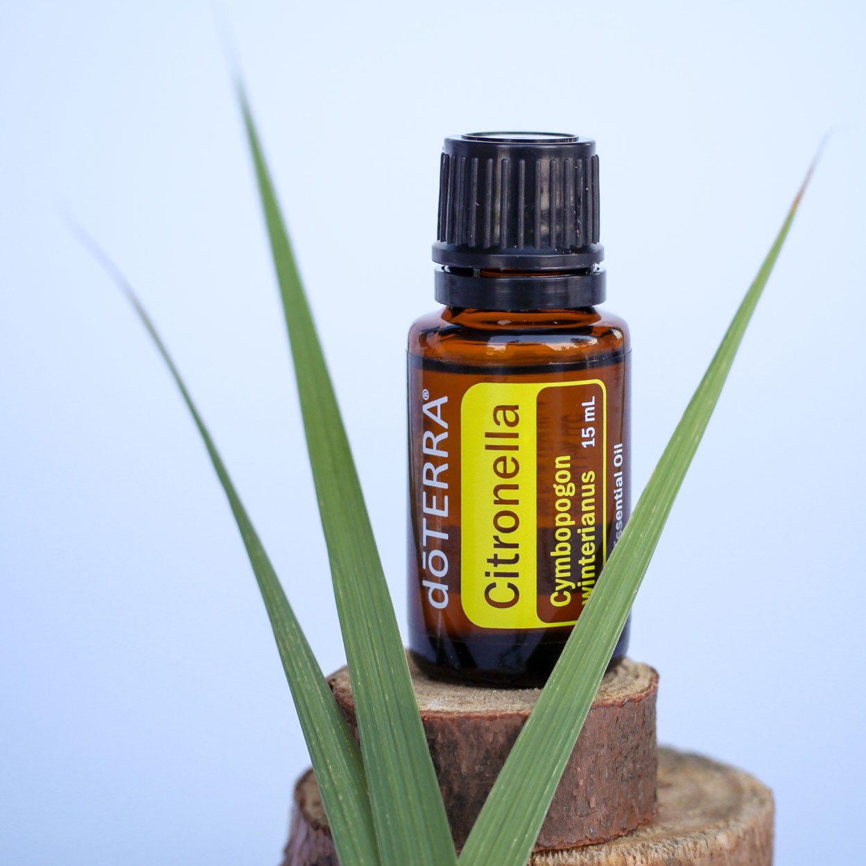 doterra oil citronella 13626523123742