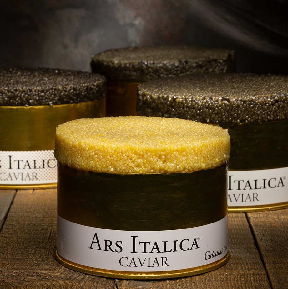 Caviale-Albino-24k