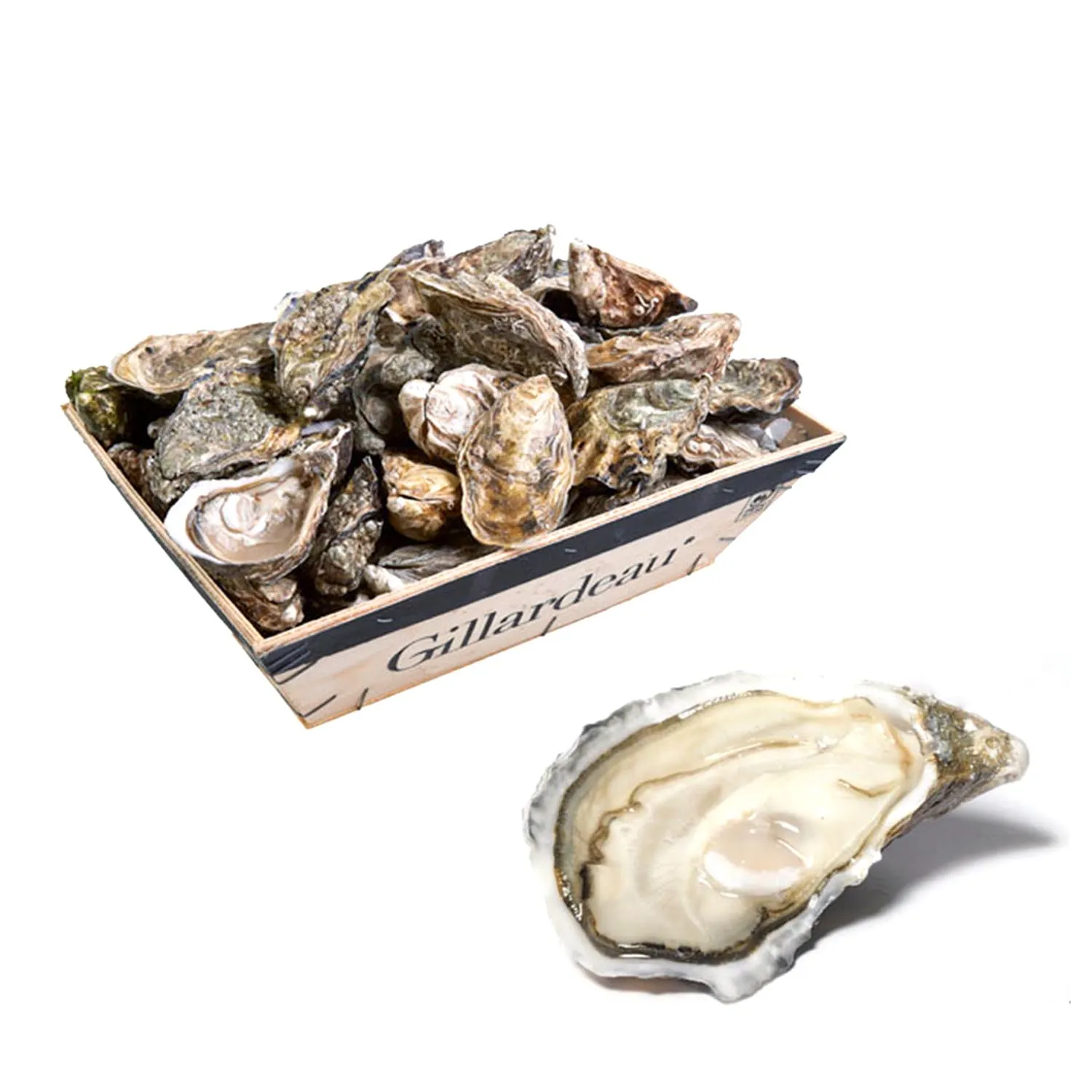 Oysters-Gillardeau