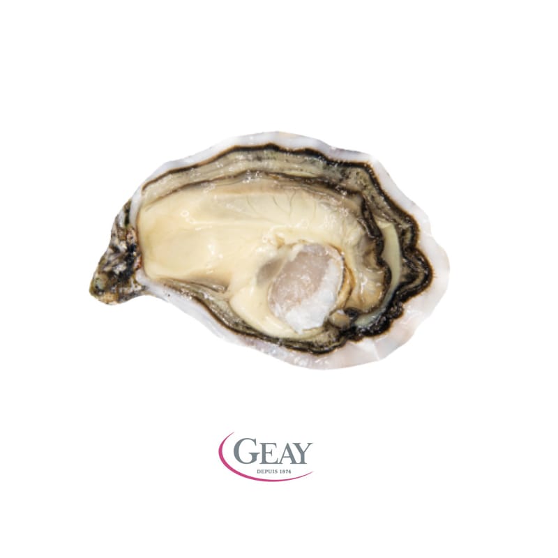 austere geay 800x