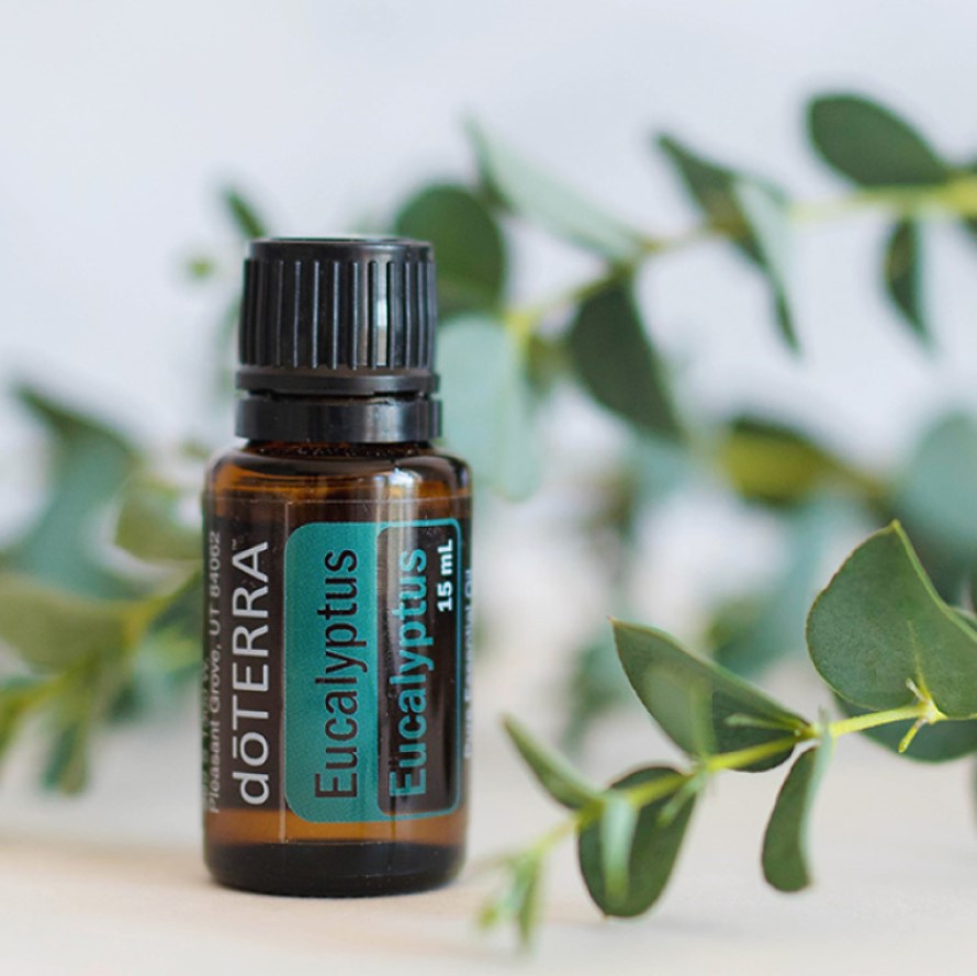doterra oil eucalyptus-spotlight