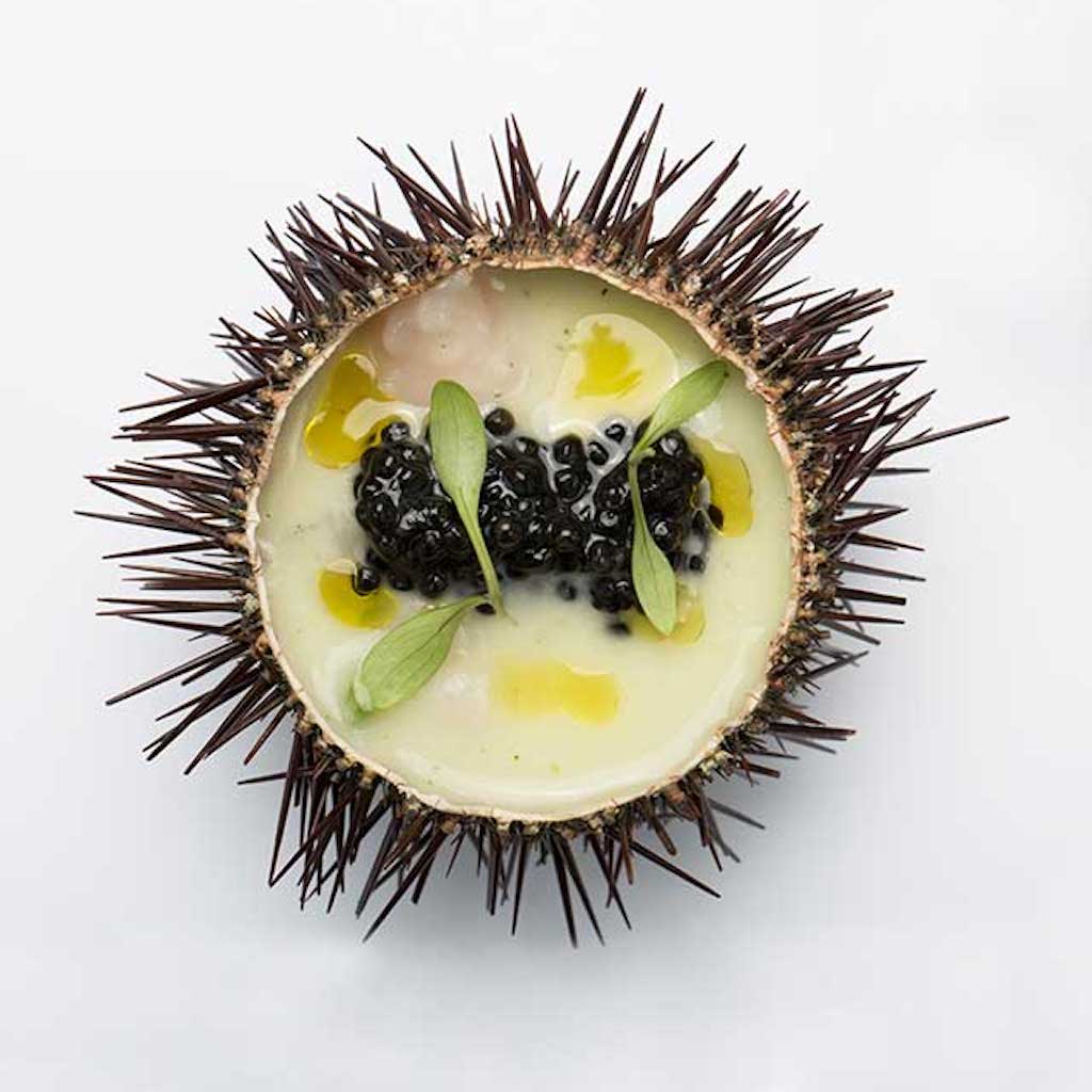 riccio-di-mare-caviale-ars-italica_2048x