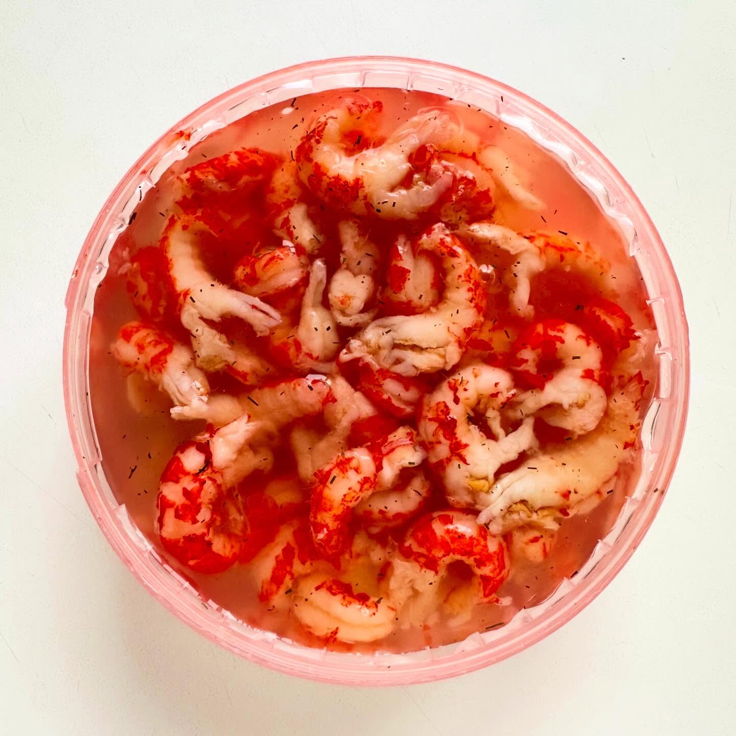 623723454_18390498487199166_3527694291545610952_n