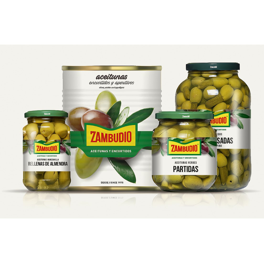 zambudio Bodegon-5
