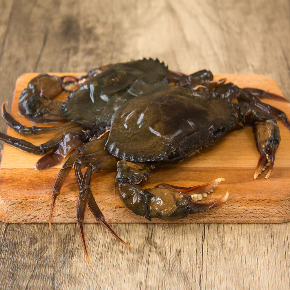 SOFT-SHELLCRAB